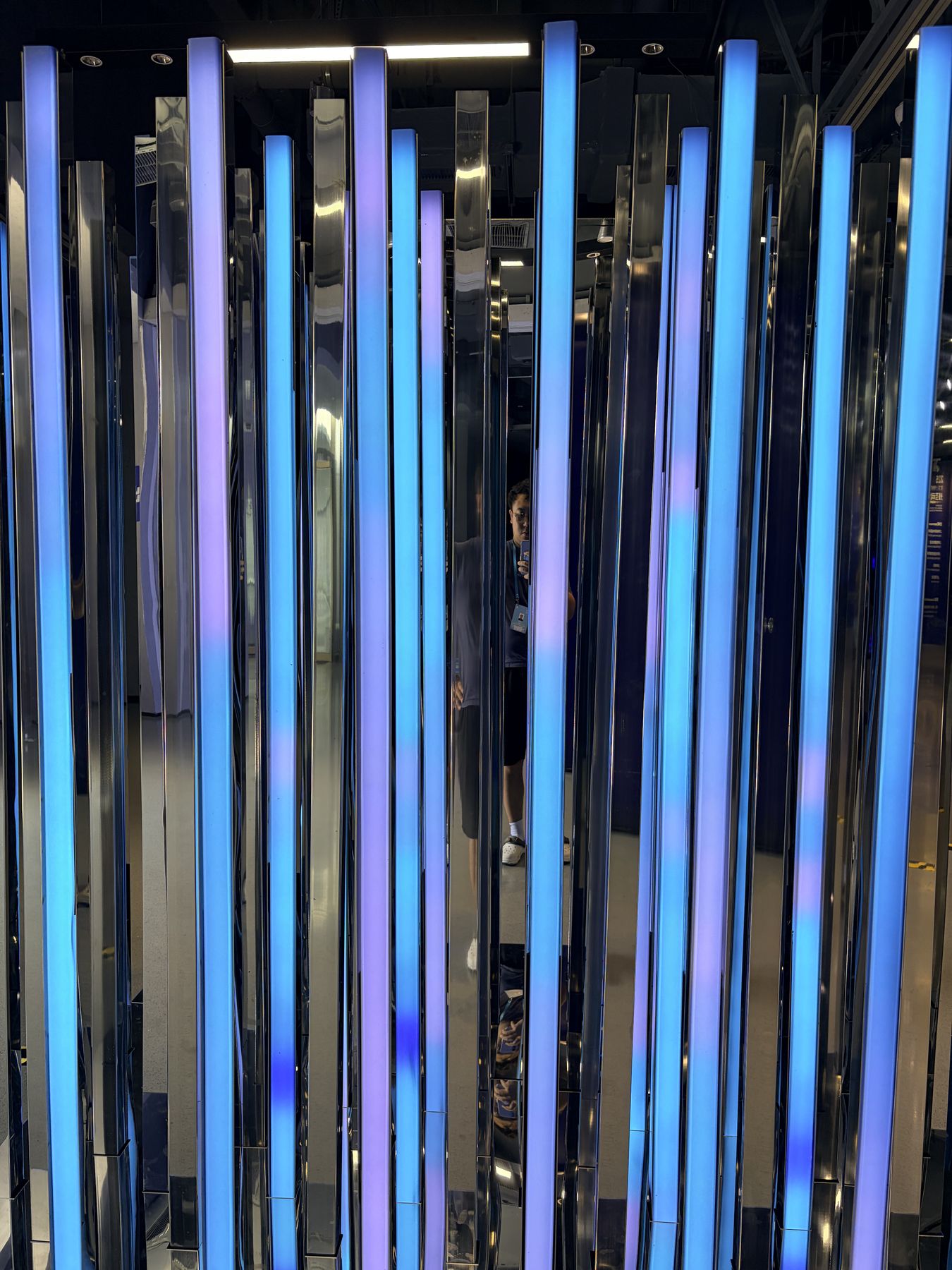 Prismatic Self — image 7
